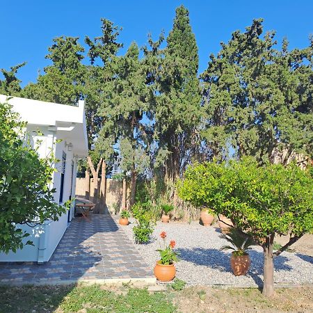 Deja Blue Villa Archangelos  Buitenkant foto