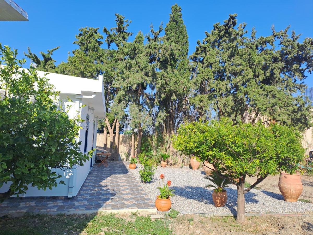 Deja Blue Villa Archangelos  Buitenkant foto
