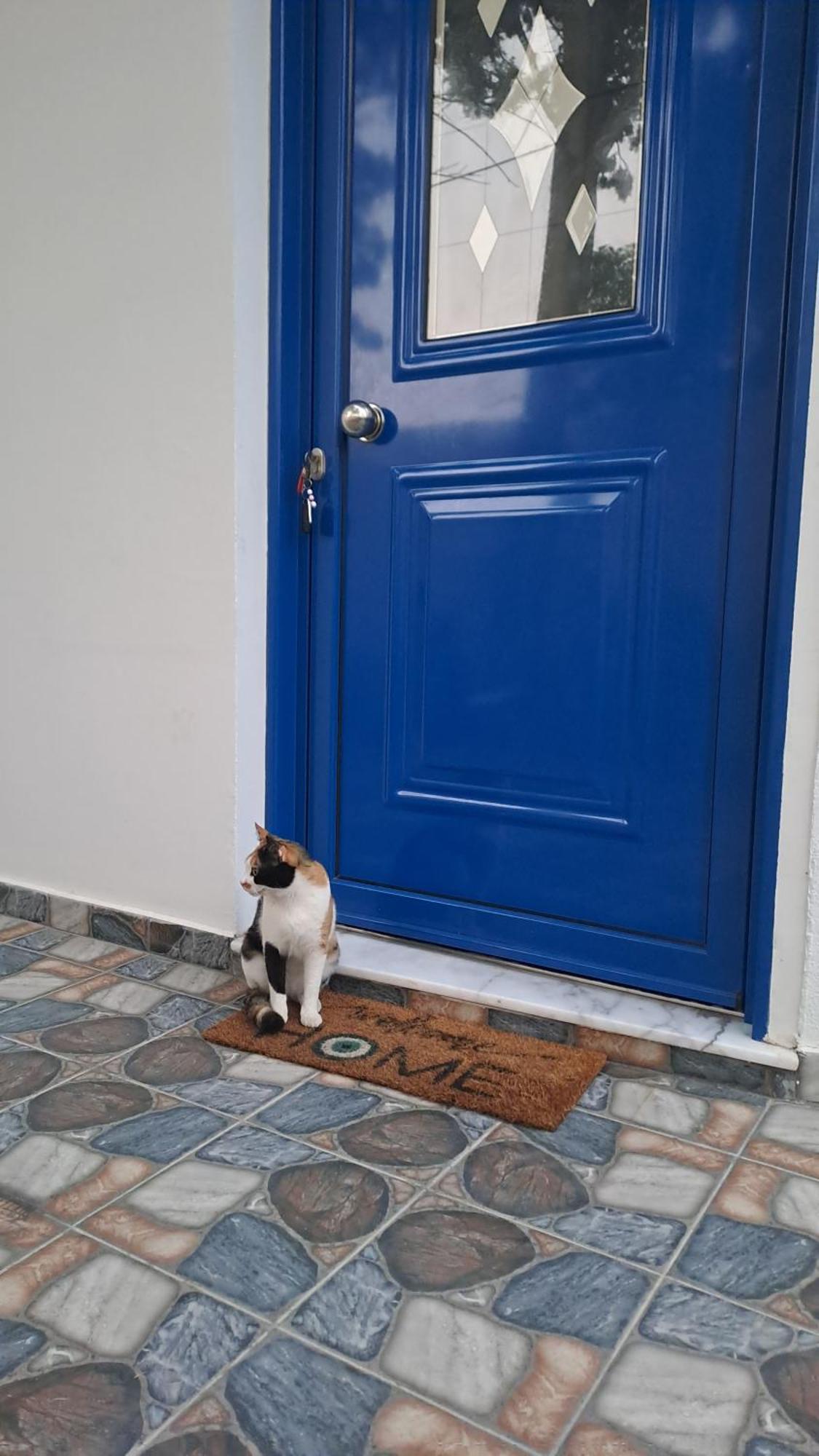 Deja Blue Villa Archangelos  Buitenkant foto